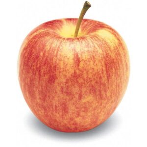 Organic Gala Apple- 3 lbs